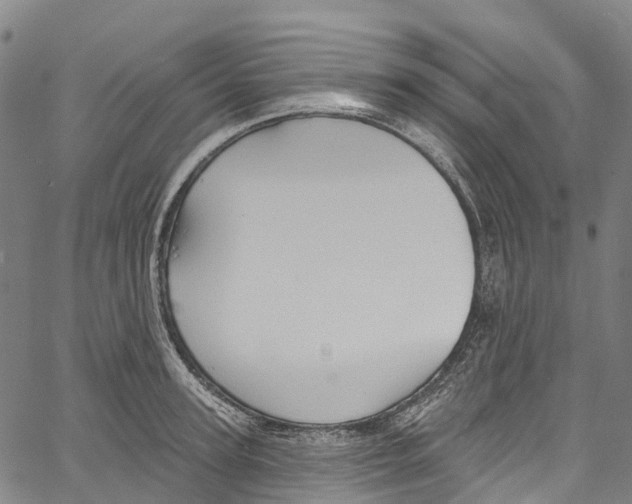 X0000061150947200512161552