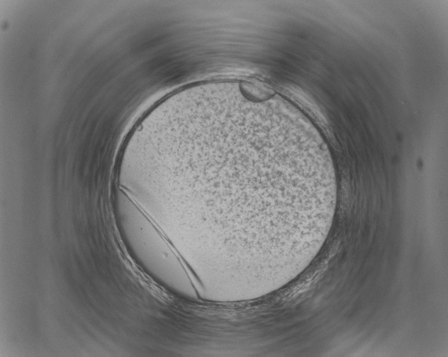 X0000061150948200512161552