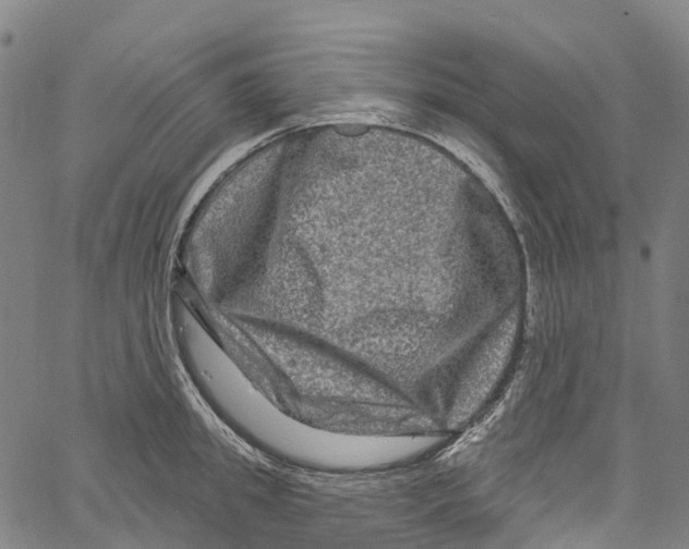 X0000061150949200512161552