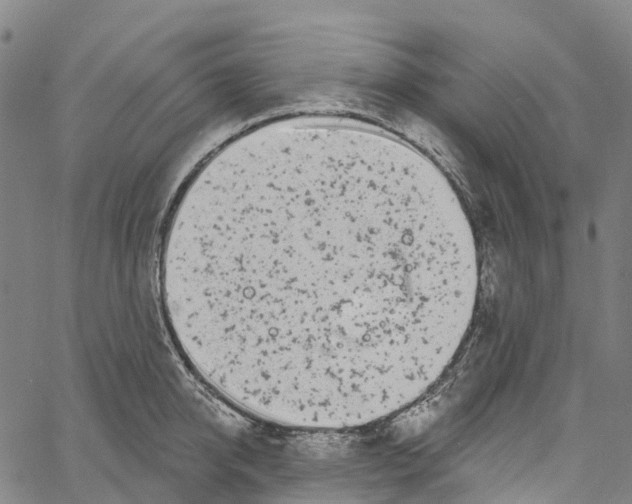 X0000061150950200512161552