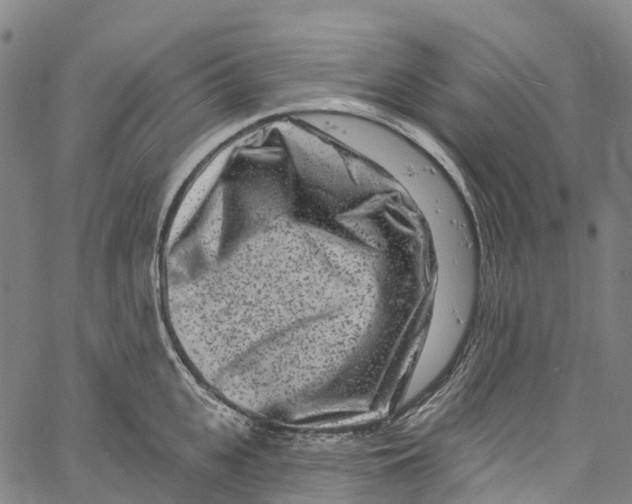 X0000061150951200512161552