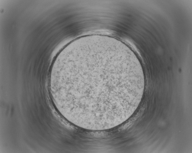 X0000061150952200512161552