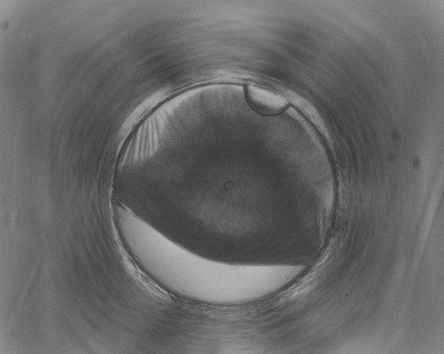 X0000061150954200512161552