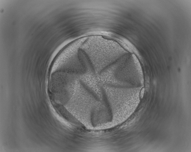 X0000061150955200512161552