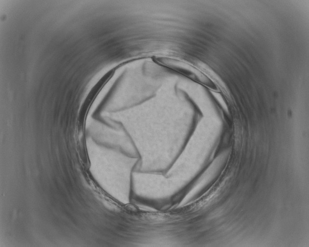 X0000061150956200512161552