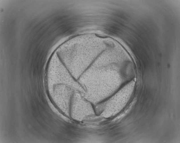 X0000061150957200512161552