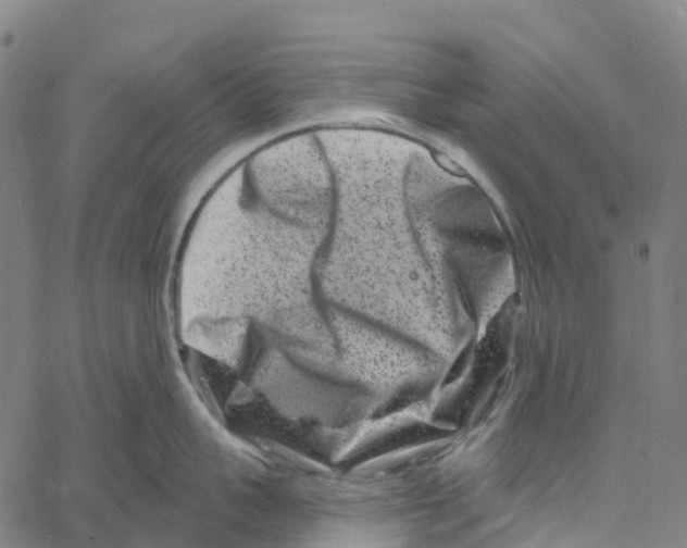 X0000061150959200512161552