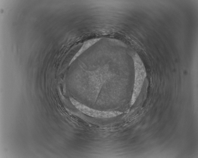 X0000061150961200512161551