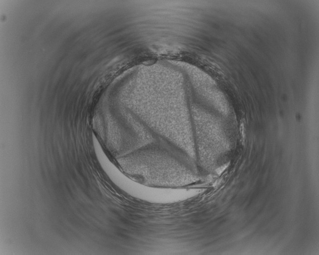 X0000061150963200512161551