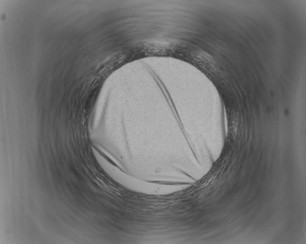 X0000061150964200512161551