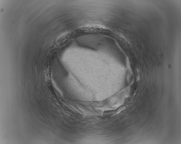 X0000061150965200512161551