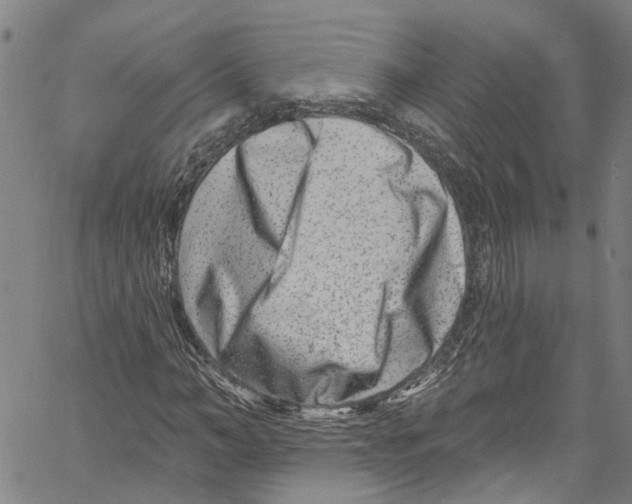 X0000061150966200512161551