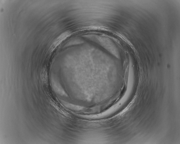 X0000061150969200512161551