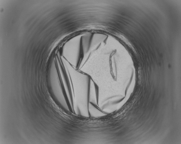 X0000061150972200512161551