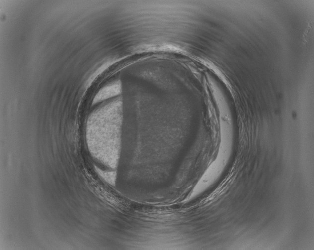 X0000061150975200512161551