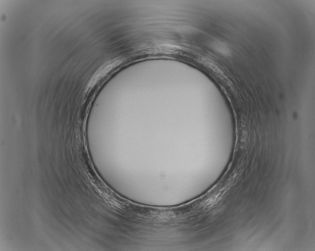 X0000061150978200512161551