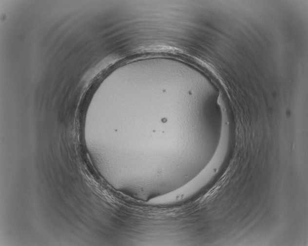 X0000061150979200512161551