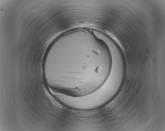 X0000061150980200512161551