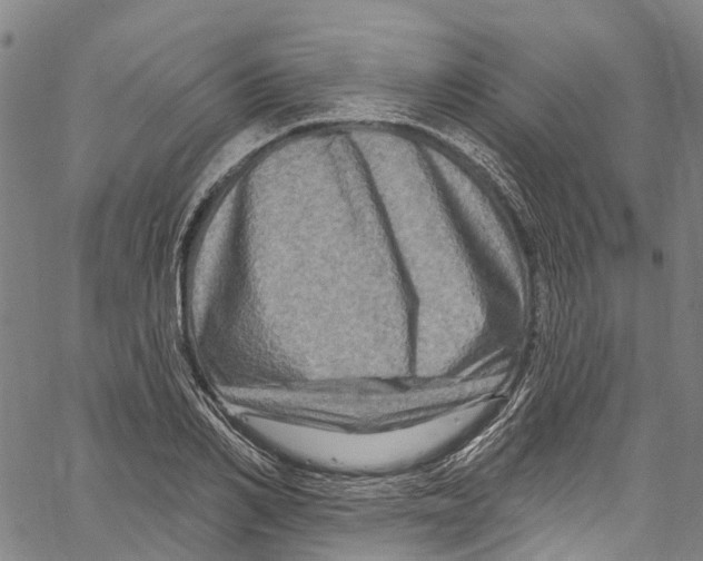 X0000061150982200512161551