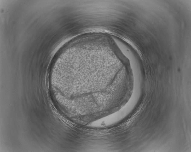 X0000061150983200512161551