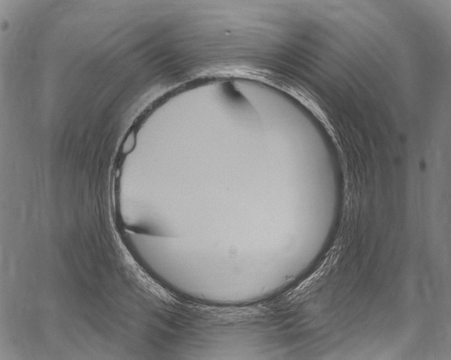 X0000061150984200512161551