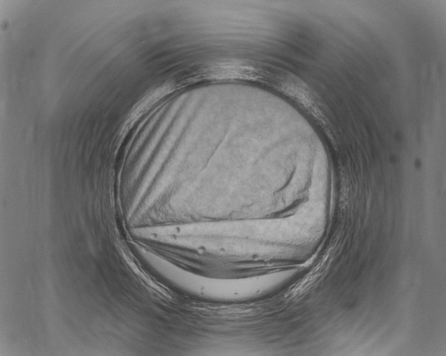 X0000061150986200512161551