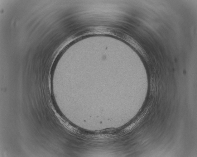 X0000061150988200512161551