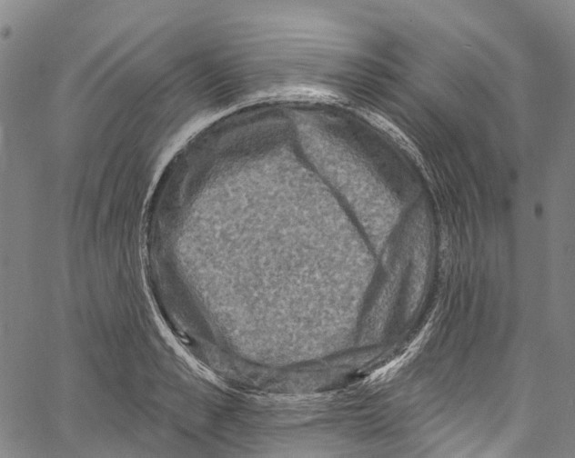 X0000061150989200512161551