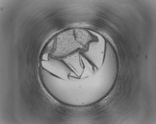 X0000061150992200512161551