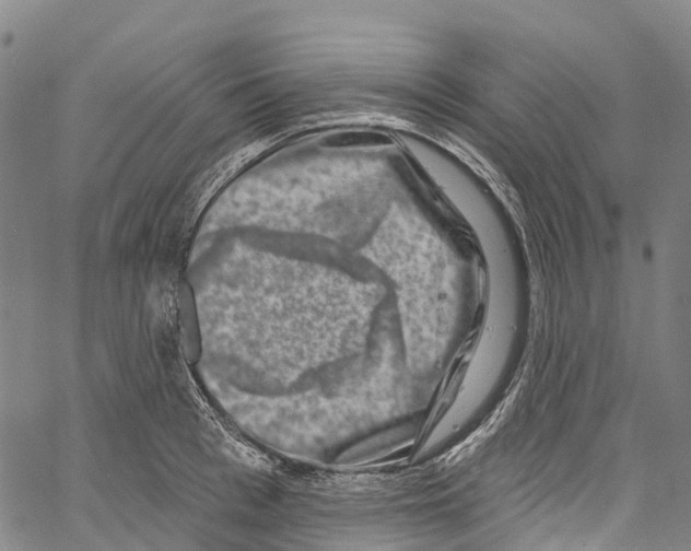 X0000061150993200512161551