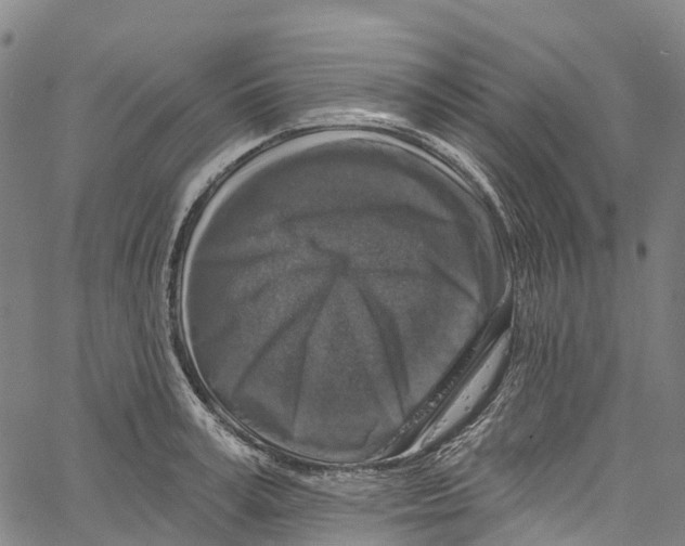 X0000061150995200512161551