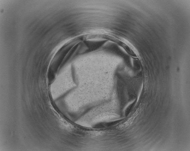 X0000061150996200512161551