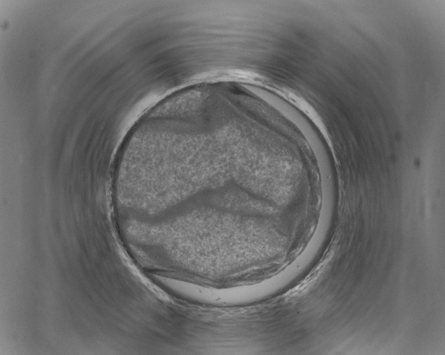 X0000061150997200512161551