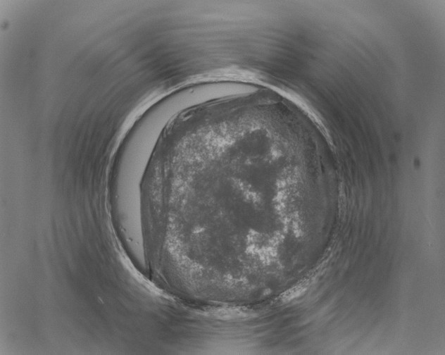 X0000061150998200512161551