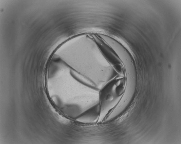 X0000061150999200512161551