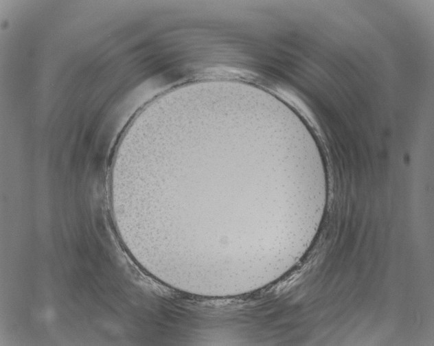 X0000061151000200512161551