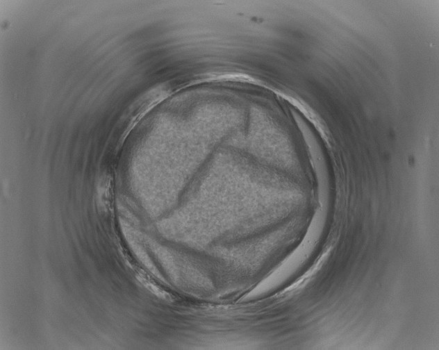 X0000061151001200512161551