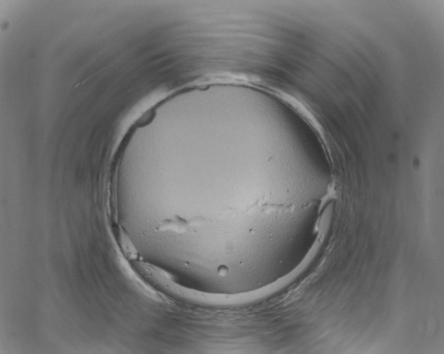 X0000061151003200512161551