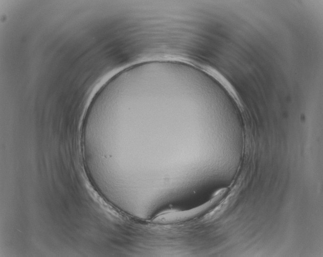 X0000061151004200512161551