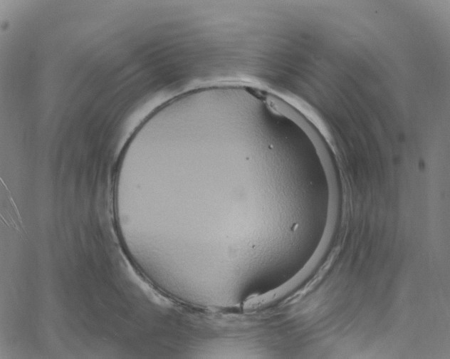 X0000061151006200512161551