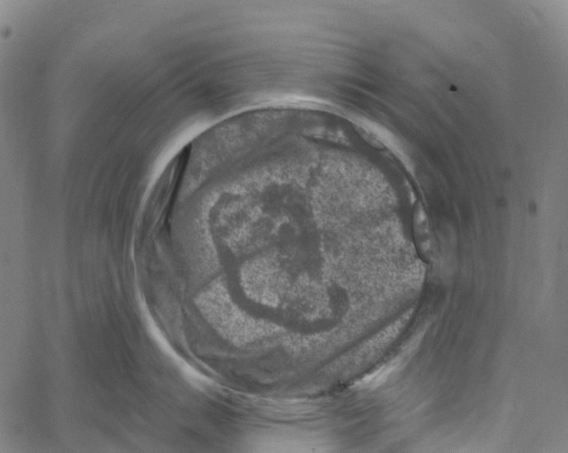 X0000061151007200512161551