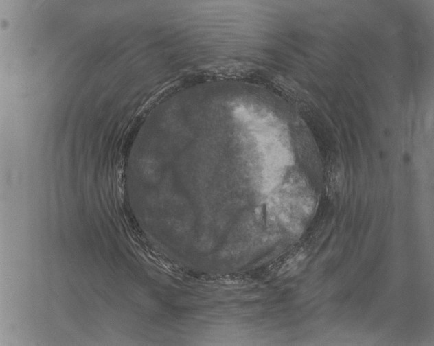 X0000061151010200512161550