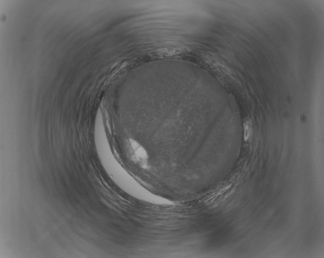 X0000061151011200512161550