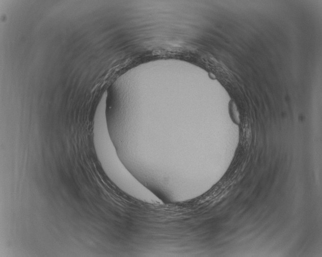 X0000061151012200512161550