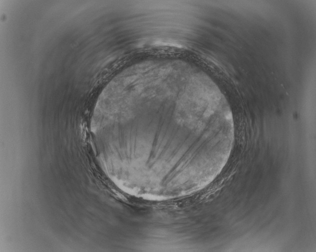 X0000061151013200512161550