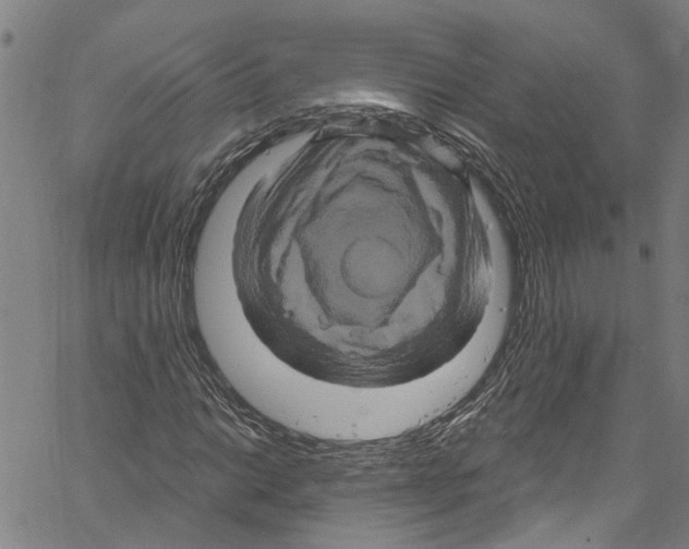 X0000061151014200512161550