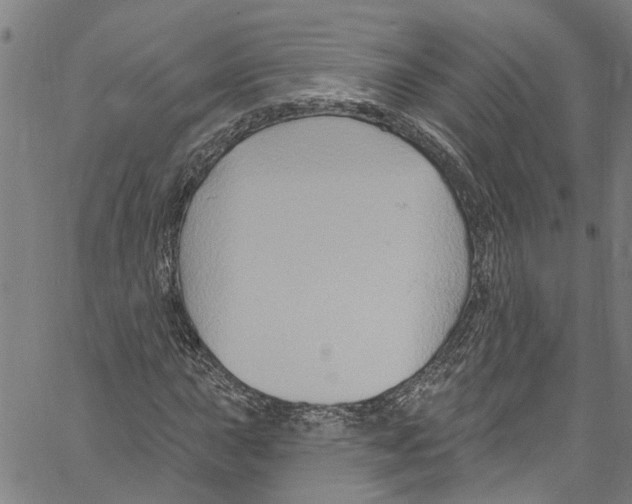 X0000061151015200512161550