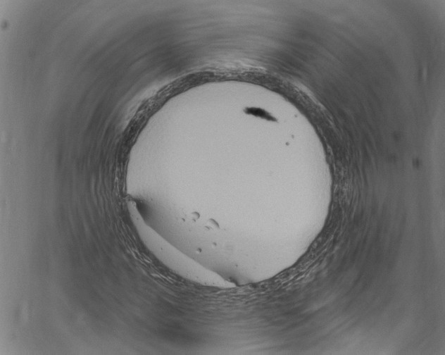 X0000061151016200512161550