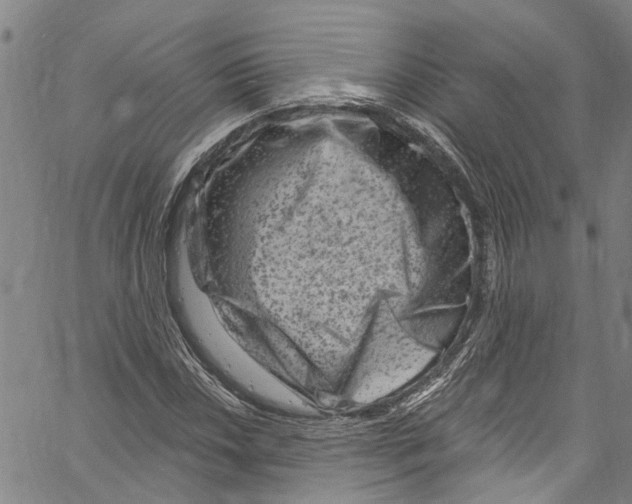 X0000061151018200512161550