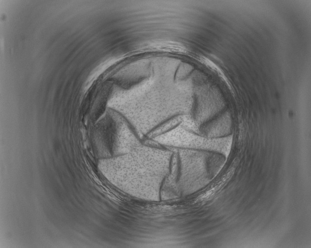 X0000061151019200512161550